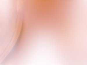 服务入门指南：从零开始学服务