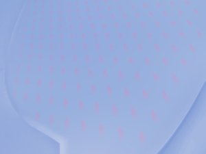 工具避坑指南：新手常犯的10个错误